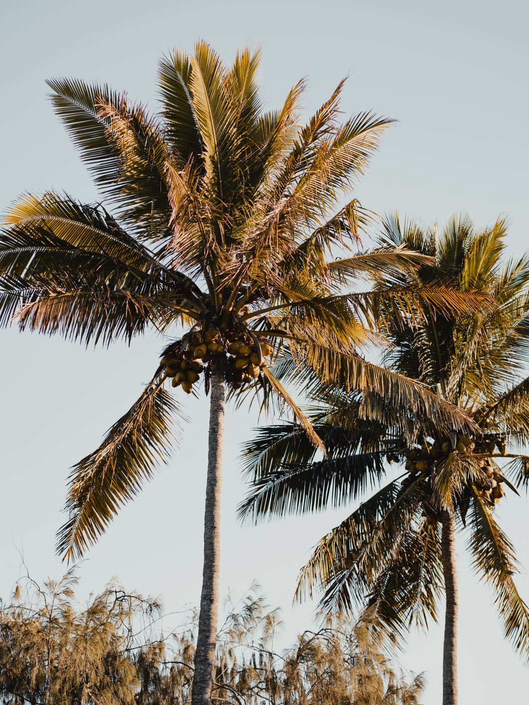 sunbar_anna_chahuneau_68-2