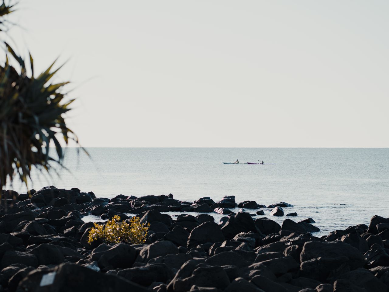 sunbar_anna_chahuneau_64