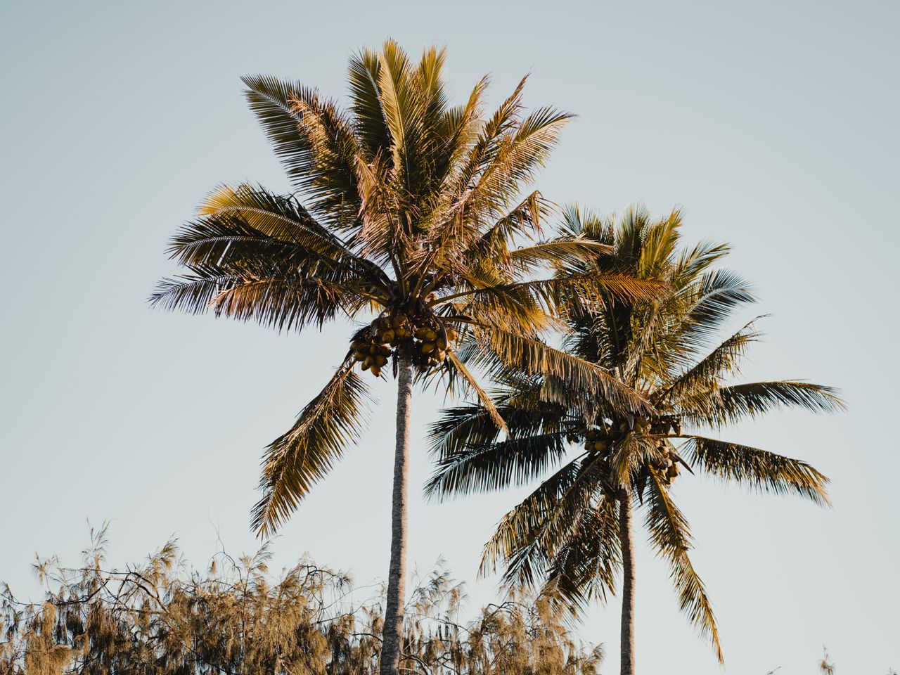 sunbar_anna_chahuneau_68-2